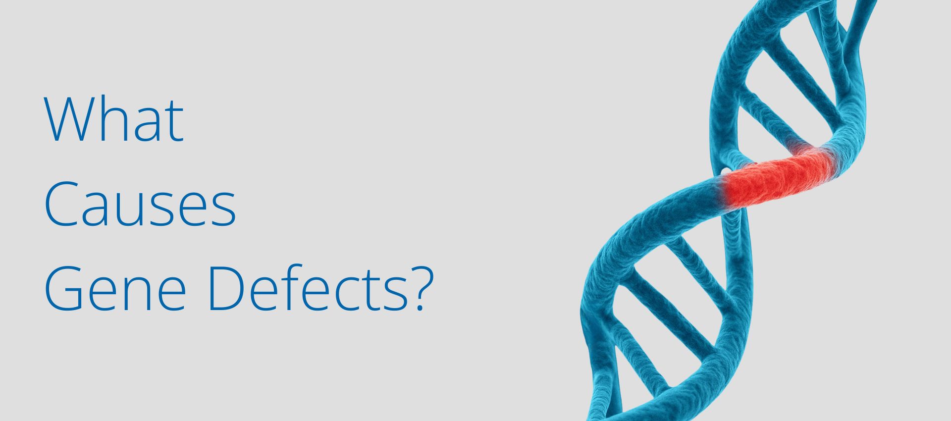What causes gene defects What causes gene defects